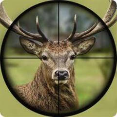 Deer Hunter