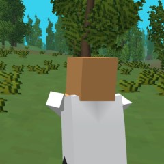 Pixel Survival